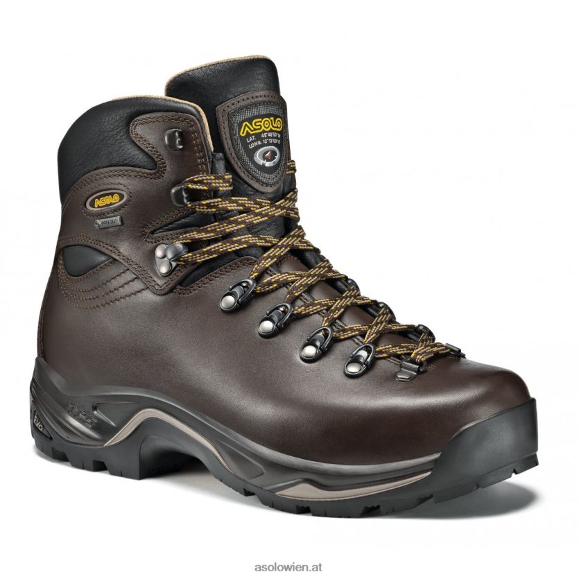 TPS 520 GV Evo Damen Asolo Kastanie LBJ0X62