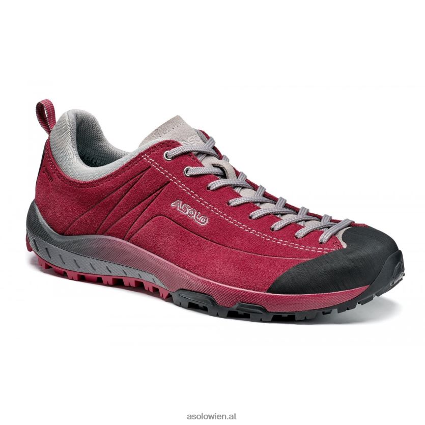 Weltraum-GV-Frauen Asolo Gerbera LBJ0X6126