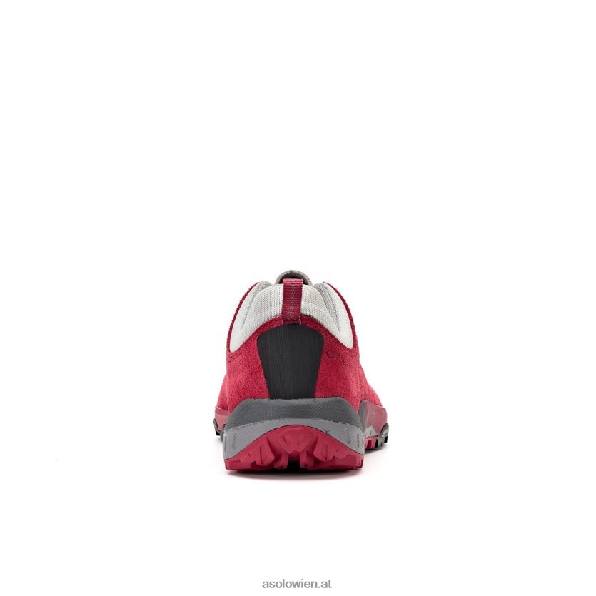 Weltraum-GV-Frauen Asolo Gerbera LBJ0X6126