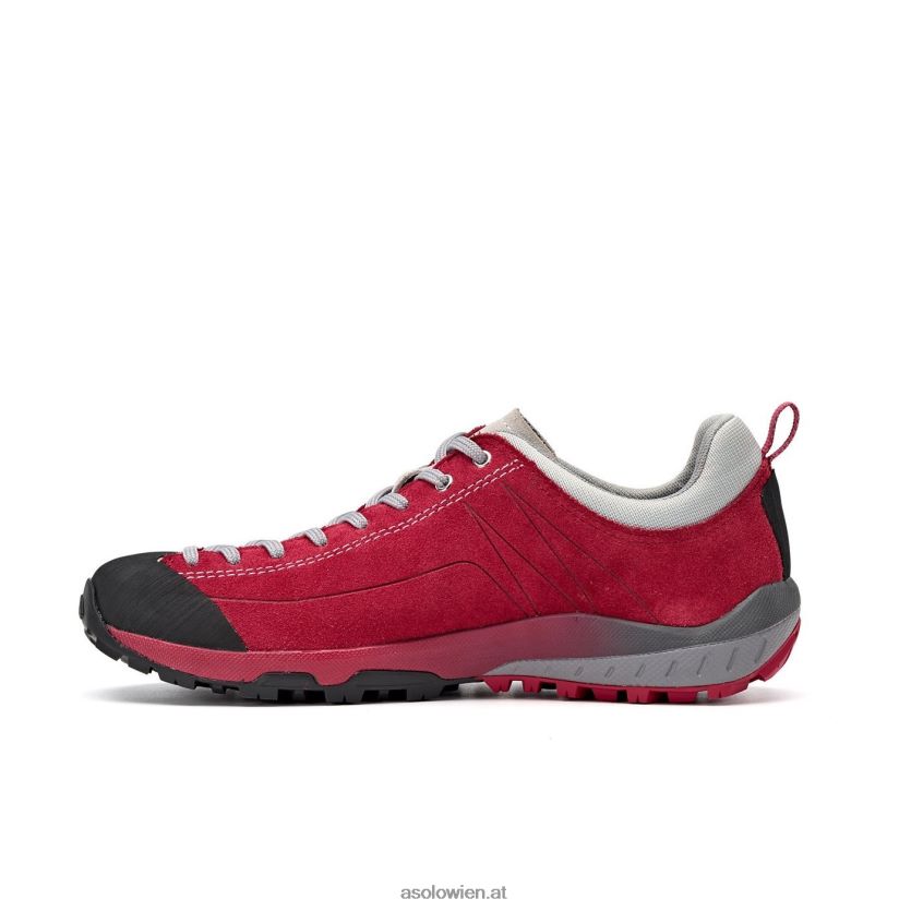 Weltraum-GV-Frauen Asolo Gerbera LBJ0X6126