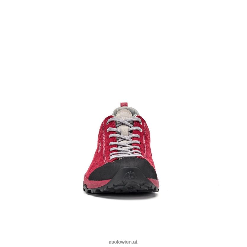 Weltraum-GV-Frauen Asolo Gerbera LBJ0X6126