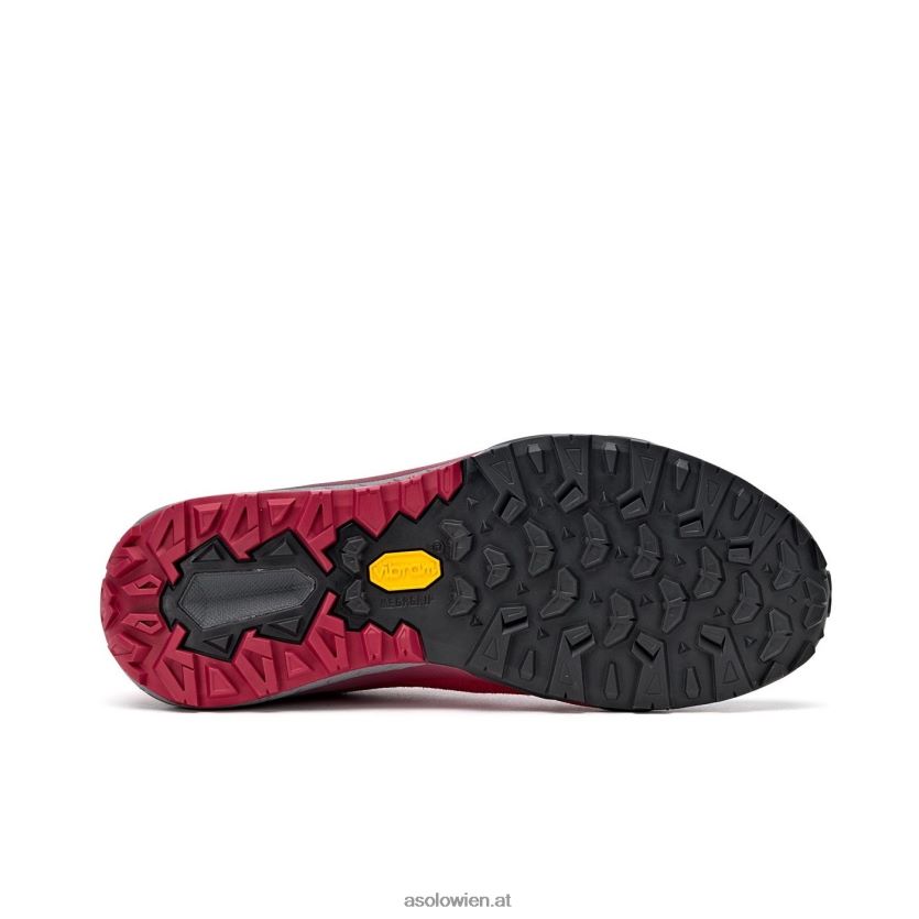 Weltraum-GV-Frauen Asolo Gerbera LBJ0X6126