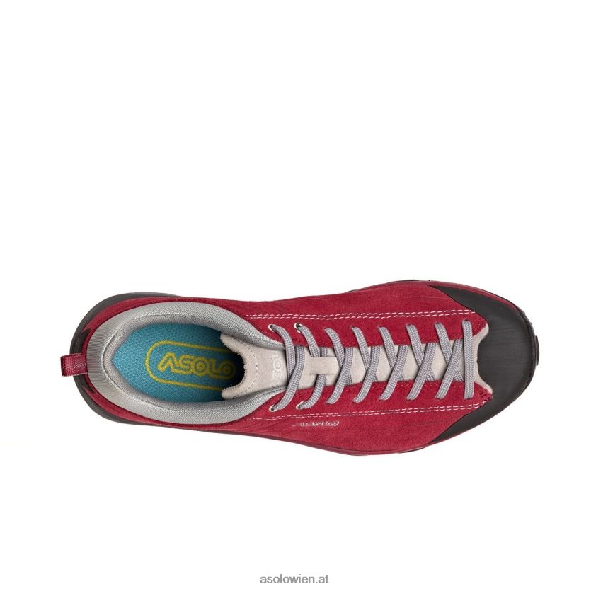 Weltraum-GV-Frauen Asolo Gerbera LBJ0X6126