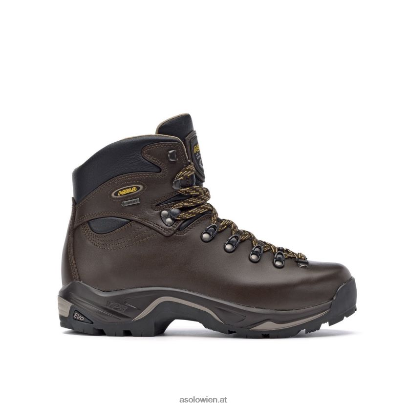 TPS 520 GV Evo Herren Asolo Kastanie LBJ0X666