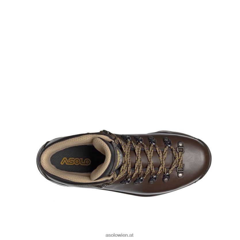 TPS 520 GV Evo Herren Asolo Kastanie LBJ0X666