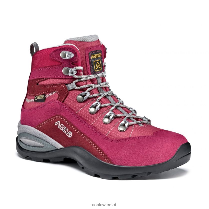 GTX-Männer durchsetzen Asolo Redbud/Blut LBJ0X6115