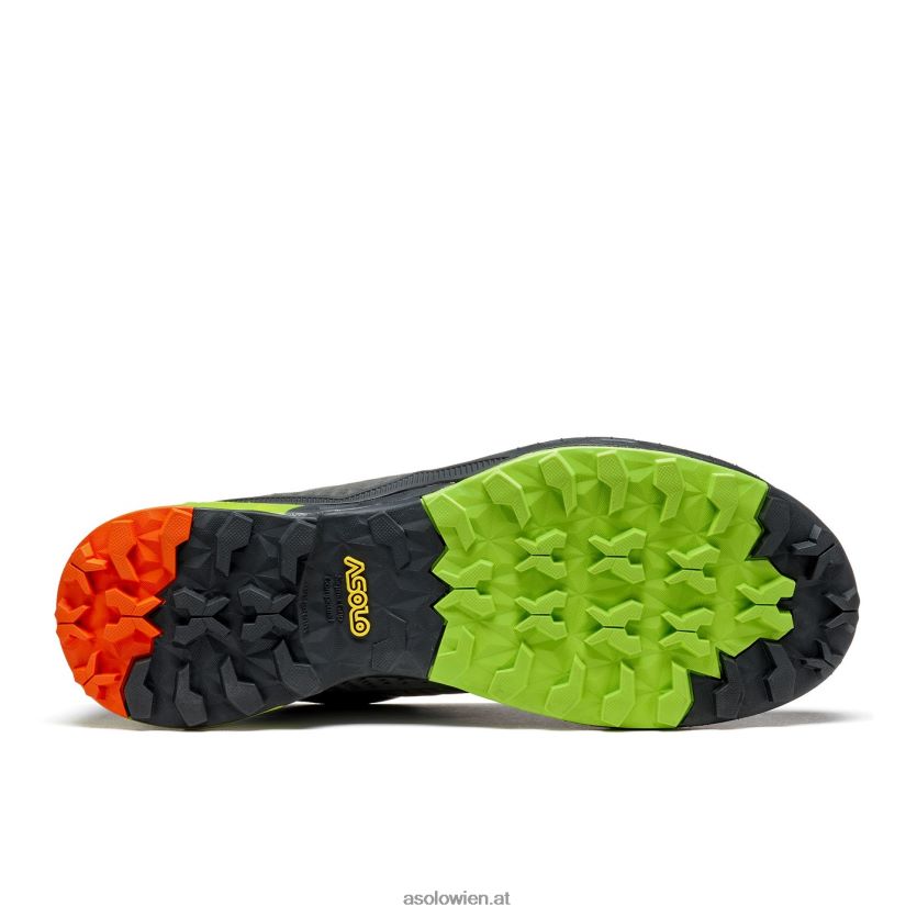 Tahoe LTH GTX Herren Asolo Graphit/grüner Kalk LBJ0X6113